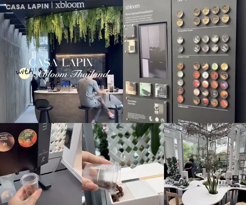 ภาพรีวิว CASA LAPIN with xBloom Thailand