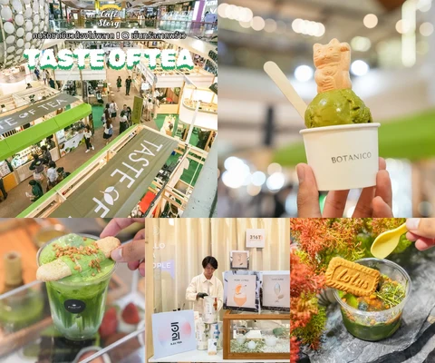 ภาพรีวิว Taste of Tea — 2567