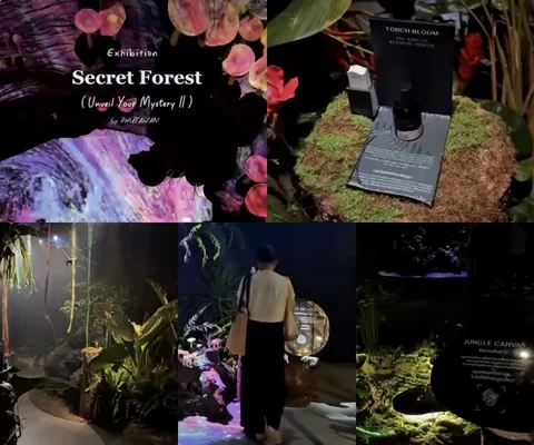 Secret Forest • Unveil Your Mystery II
