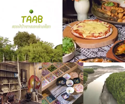 ภาพรีวิว TAAB • ป่าชายเลนอ่างศิลา