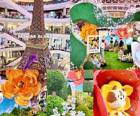 ภาพรีวิว JASMINE BLANC 2567