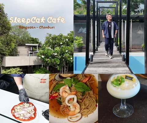 ภาพรีวิว Sleepcat Cafe • ชลบุรี