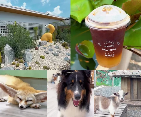 ภาพรีวิว A Cup of Zoo Cafe
