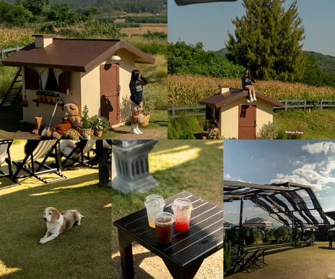 ภาพรวม 5 ภาพจากรีวิว Heaven Garden Khaoyai โดย @1.dayz