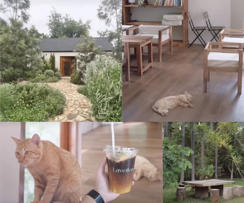 ภาพรีวิว Lavellenic Cafe • เขาใหญ่