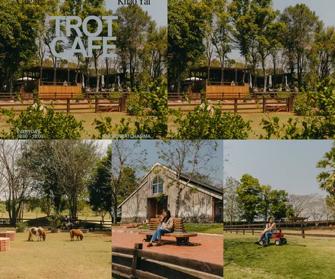 ภาพรวม 5 ภาพจากรีวิว TROT Cafe • เขาใหญ่ โดย @1.dayz