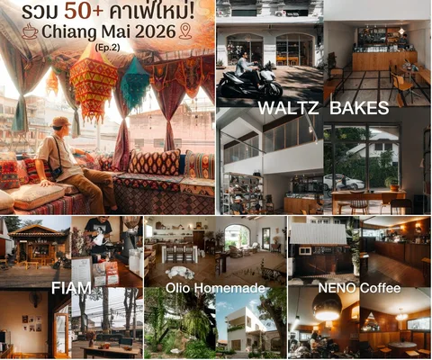 ภาพรีวิว รวมคาเฟ่เชียงใหม่ 50+ ร้าน • EP.2