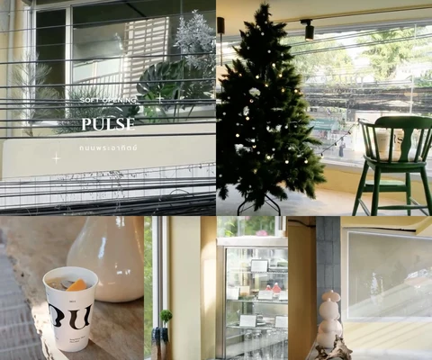 ภาพรีวิว Pulse • ถนนพระอาทิตย์
