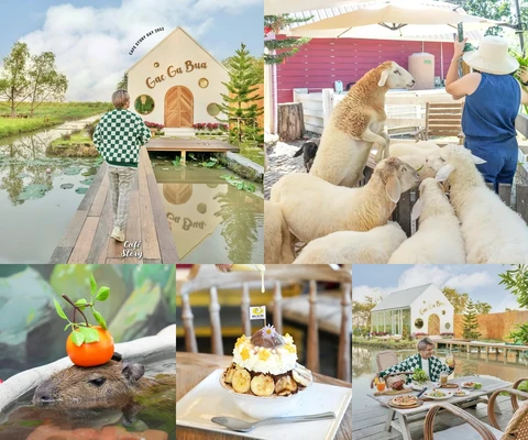 ภาพรีวิว แกะกะบัว Farm Cafe and Restaurant • คลอง 10