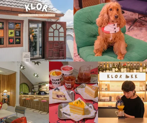 ภาพรีวิว KLOR BKK