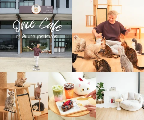 ภาพรีวิว ONCE Cat Café