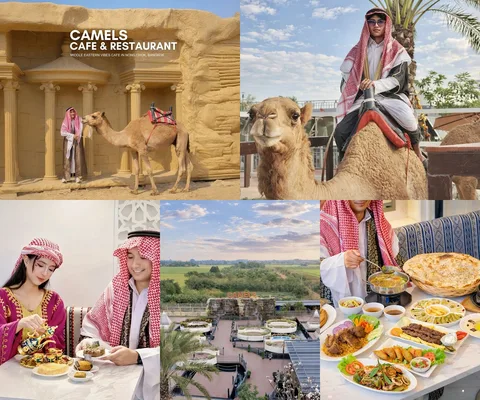 ภาพรีวิว Camels Cafe & Restaurant