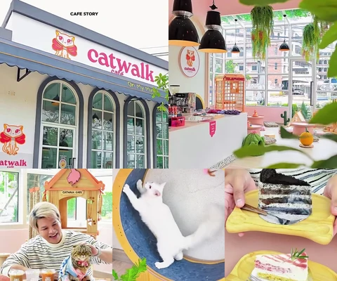 ภาพรีวิว Catwalk Cafe