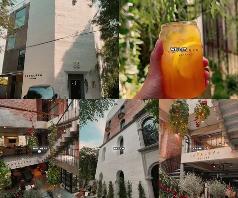 ภาพรีวิว Cataleya Estate • ปุณณวิถี 33