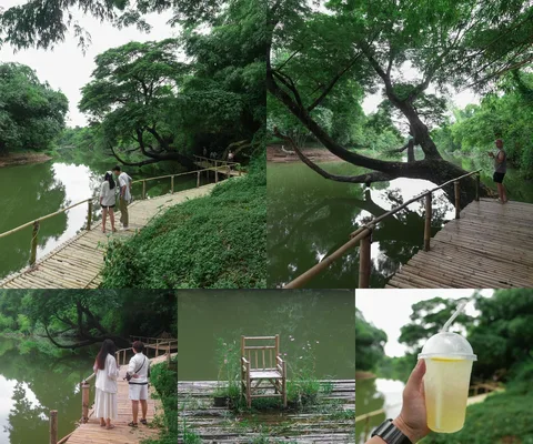 ภาพรีวิว วังดอกไม้ คาเฟ่