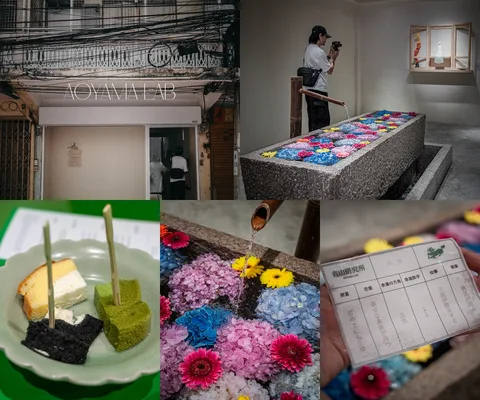 Aoyama Lab