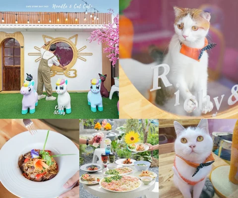 ภาพรีวิว Noodle & Cat Cafe • คลองสามวา