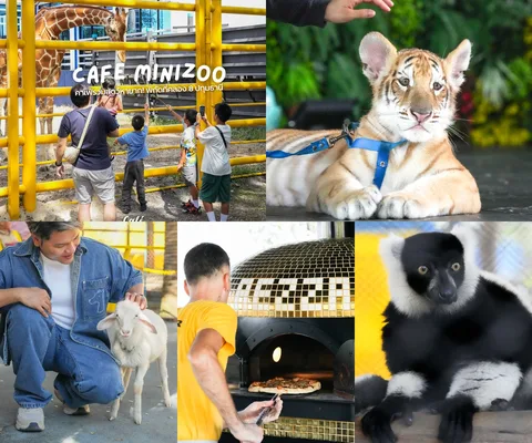 ภาพรีวิว Cafe Minizoo Garden River 8