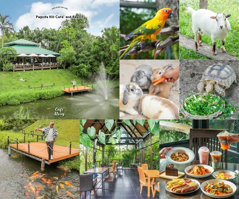 ภาพรีวิว Pagoda Hill Cafe & Resort