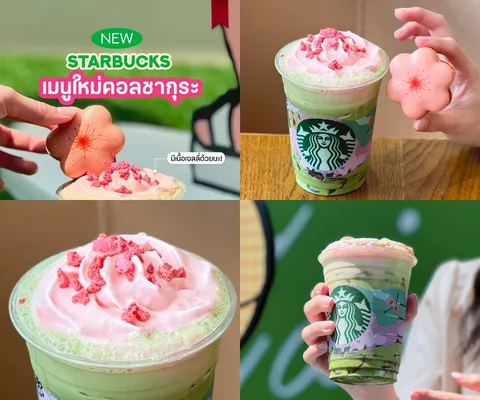 ภาพรีวิว Starbucks • Sakura