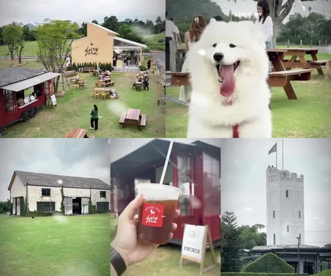 ภาพรีวิว After You Dairy Farm • Midwinter เขาใหญ่