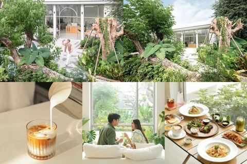 ภาพรีวิว Little Wood