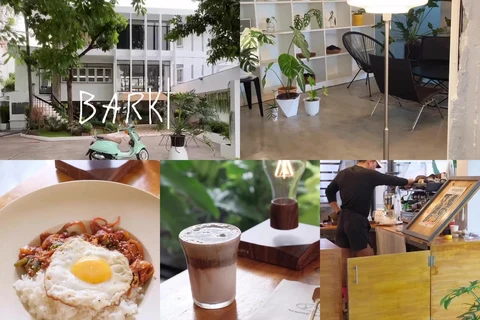 ภาพรีวิว BARK