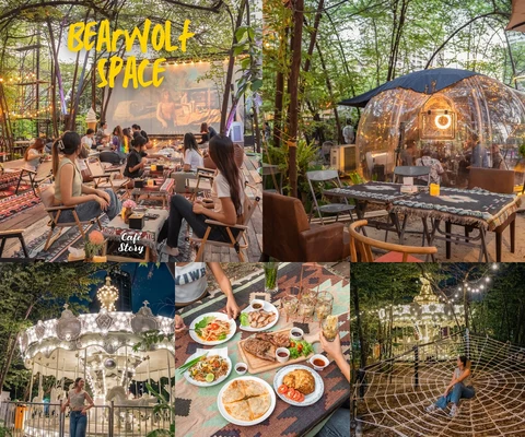 ภาพรีวิว Bearwolf Space