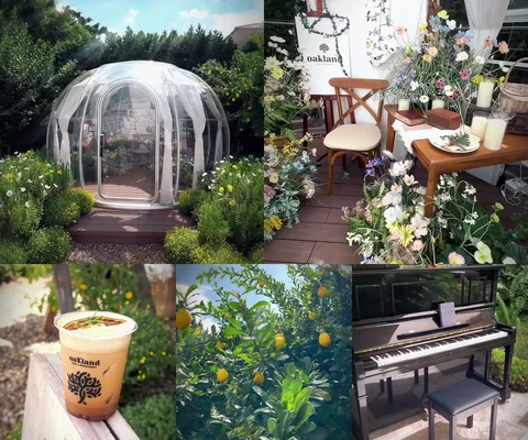 ภาพรีวิว Oakland Cafe