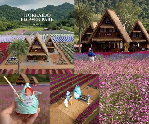 ภาพรีวิว Hokkaido Flower Park • เขาใหญ่