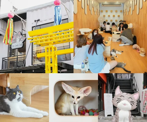 ภาพรีวิว Catsmile Cafe • BOX SPACE รัชโยธิน