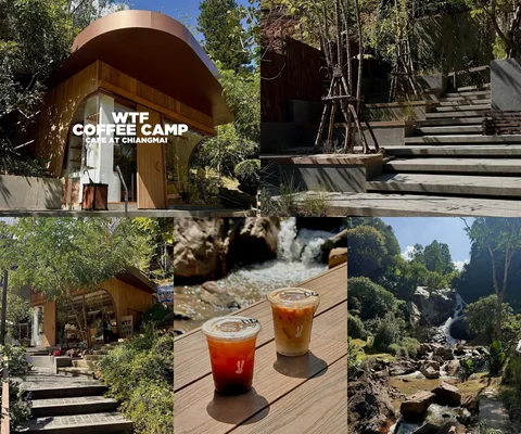 ภาพรีวิว WTF Coffee Camp • แม่ริม