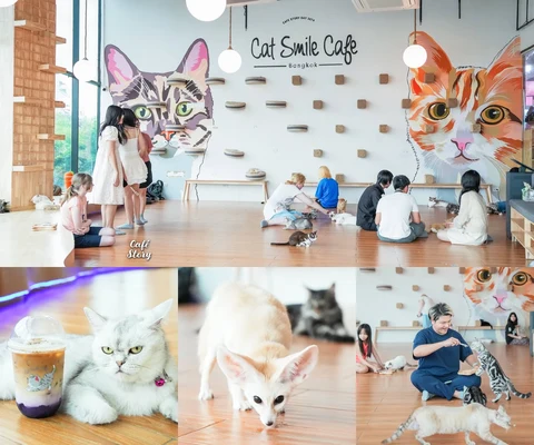 ภาพรีวิว Cat Smile Cafe