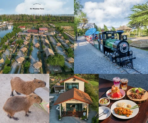 ภาพรีวิว All Weather Farm