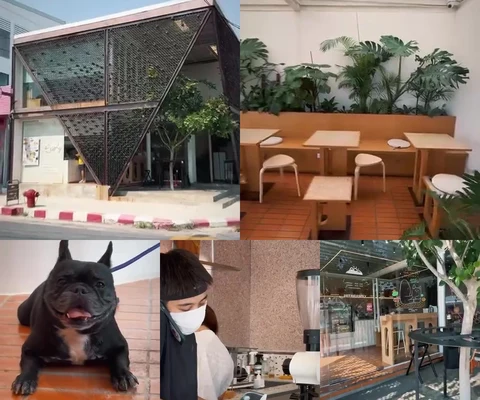 ภาพรีวิว Early BKK