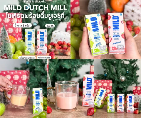 ภาพรีวิว MILD DUTCH MILL
