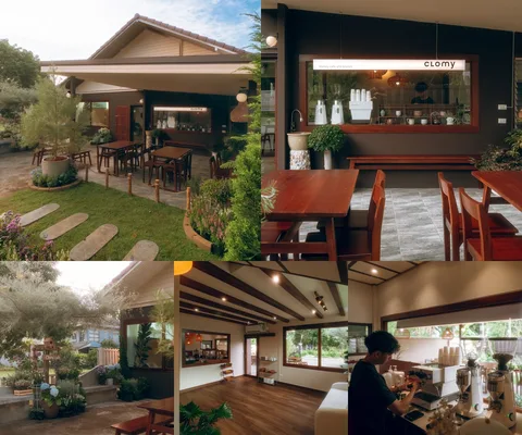 ภาพรีวิว CLOMY