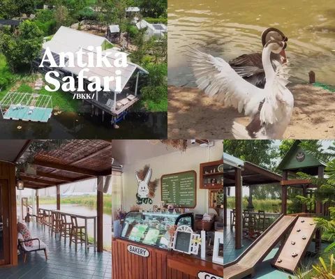 ภาพรวม 5 เฟรมจากคลิป Antika Safari โดย @1.dayz