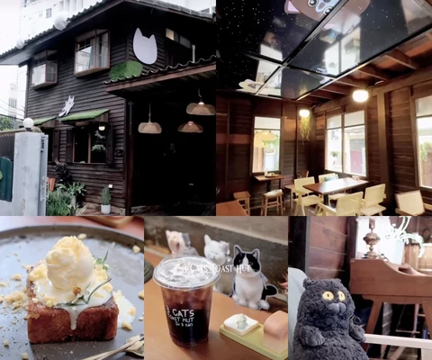 ภาพรีวิว 3 Cats Toast Hut • สีลม