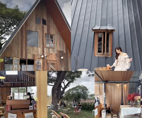 ภาพรีวิว Faifo Forest • นครราชสีมา