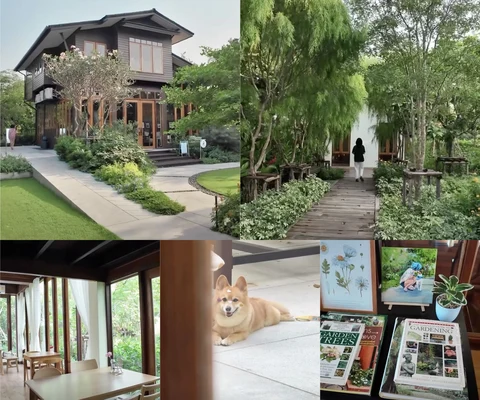 ภาพรีวิว Tavy’s Home Cafe • สุขุมวิท 97/1
