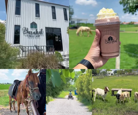 ภาพรีวิว Barakat LunLa Land Café and Farms
