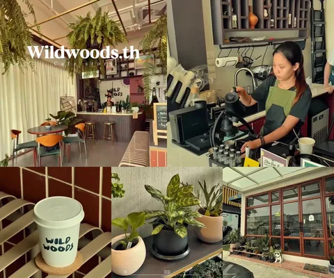 ภาพรีวิว Wildwoods.th • ราชพฤกษ์