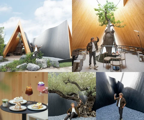 ภาพรีวิว Harudot Chonburi • Nana Coffee Roasters
