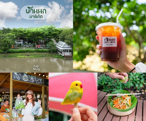ภาพรีวิว บ้านนกมาร์เก็ต