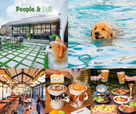 ภาพรีวิว People & Tail