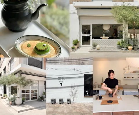 ภาพรีวิว WHY MATCHA?
