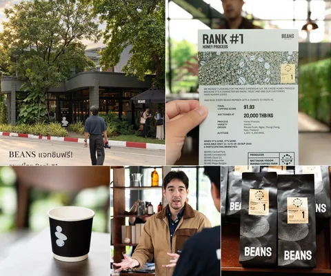 ภาพรวม 5 ภาพจากรีวิว BEANS — กาแฟไทย Rank #1