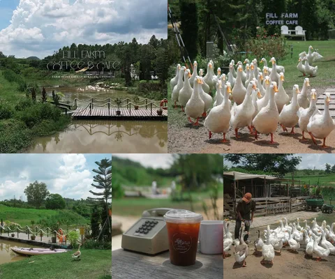 ภาพรีวิว Fill Farm Coffee & Cafe
