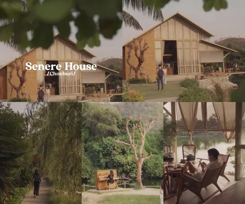 ภาพรวม 5 เฟรมจากคลิป Serene House Cafe • ชลบุรี โดย @1.dayz